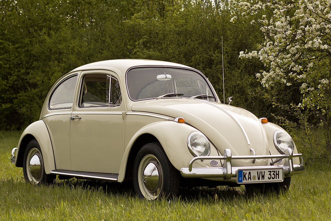Beetle